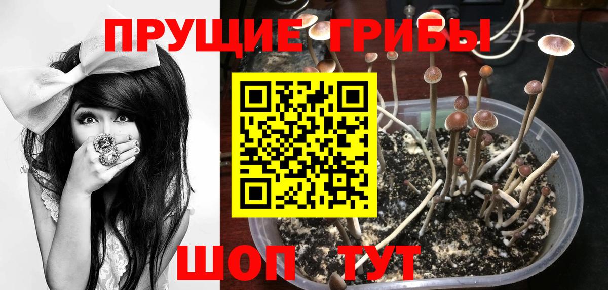 Галлюциногенные грибы ЛСД Саратов