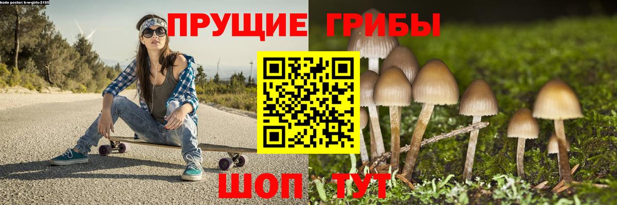 Саратов  Галлюциногенные грибы мухоморы  Вход с VPN 